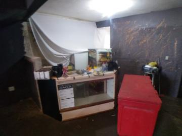 imagem 3 - Comercial padrão - Galpão - Armazém imagem 3 - Comercial padrão - Galpão - Armazém
