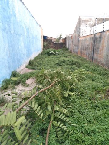imagem 1 - TERRENO PRÓXIMO A RUA PÔRTO SEGURO imagem 1 - TERRENO PRÓXIMO A RUA PÔRTO SEGURO