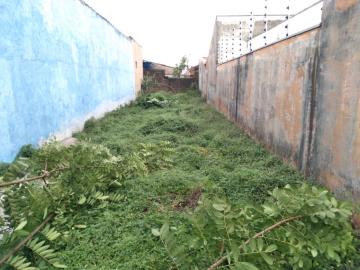 imagem 2 - TERRENO PRÓXIMO A RUA PÔRTO SEGURO imagem 2 - TERRENO PRÓXIMO A RUA PÔRTO SEGURO