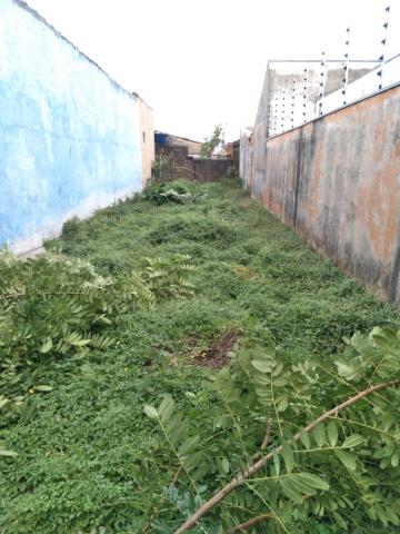 imagem 3 - TERRENO PRÓXIMO A RUA PÔRTO SEGURO imagem 3 - TERRENO PRÓXIMO A RUA PÔRTO SEGURO