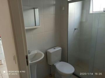 imagem 3 - Apartamento de 42m² de 2 quartos para locação - Jardim Heitor Rigon imagem 3 - Apartamento de 42m² de 2 quartos para locação - Jardim Heitor Rigon