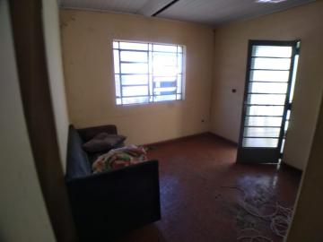 imagem 1 - CASA TÉRREA PRÓXIMO À AVENIDA PIO XII imagem 1 - CASA TÉRREA PRÓXIMO À AVENIDA PIO XII