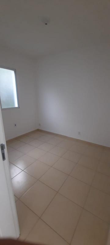 imagem 1 - Apartamento de 40m² com 02 quartos para locação  - Parque dos Pinus imagem 1 - Apartamento de 40m² com 02 quartos para locação  - Parque dos Pinus