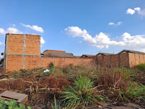 imagem 4 - Terrreno amplo de 369m² para locação e venda - Parque das Oliveiras imagem 4 - Terrreno amplo de 369m² para locação e venda - Parque das Oliveiras