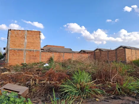 imagem 5 - Terrreno amplo de 369m² para locação e venda - Parque das Oliveiras imagem 5 - Terrreno amplo de 369m² para locação e venda - Parque das Oliveiras