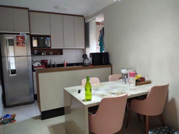 imagem 2 - Apartamento - Padrão imagem 2 - Apartamento - Padrão