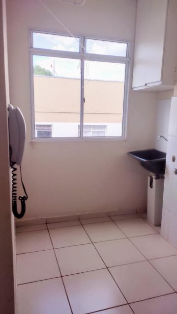 imagem 4 - Apartamento de 42m² com 02 quartos para locação e venda - Jardim Heitor Rigon imagem 4 - Apartamento de 42m² com 02 quartos para locação e venda - Jardim Heitor Rigon