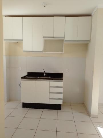 imagem 3 - Apartamento de 42m² com 02 quartos para locação e venda - Jardim Heitor Rigon imagem 3 - Apartamento de 42m² com 02 quartos para locação e venda - Jardim Heitor Rigon