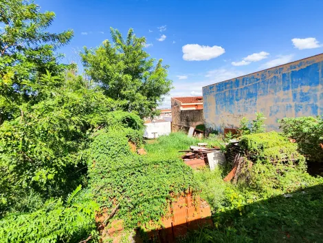 imagem 1 - Terreno - Padrão imagem 1 - Terreno - Padrão