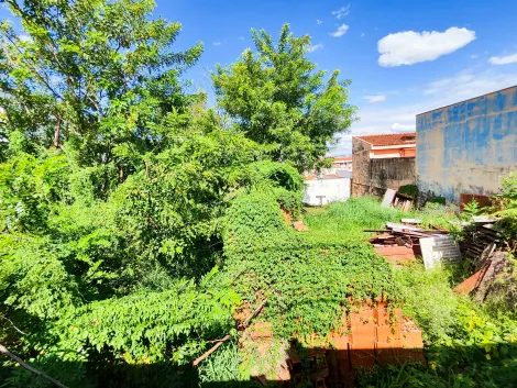 imagem 2 - Terreno - Padrão imagem 2 - Terreno - Padrão