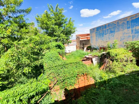 imagem 3 - Terreno - Padrão imagem 3 - Terreno - Padrão