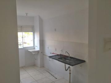 imagem 3 - APARTAMENTO PRÓXIMO À RUA JOÃO TONIOLI imagem 3 - APARTAMENTO PRÓXIMO À RUA JOÃO TONIOLI