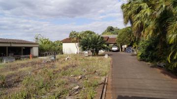 imagem 2 - Comercial padrão - Galpão - Armazém imagem 2 - Comercial padrão - Galpão - Armazém