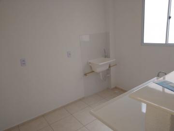 Alugar Apartamentos / Padrão em Ribeirão Preto R$ 800,00 - Foto 4