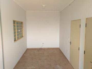 imagem 5 - Comercial padrão - Galpão - Armazém imagem 5 - Comercial padrão - Galpão - Armazém