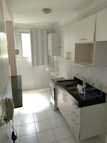 Alugar Apartamentos / Padrão em Ribeirão Preto R$ 1.000,00 - Foto 5