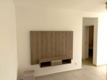 imagem 3 - Apartamento - Padrão imagem 3 - Apartamento - Padrão