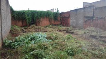 imagem 2 - ** TERRENO 	JD PROFESSOR ANTONIO PALOCCI ** imagem 2 - ** TERRENO 	JD PROFESSOR ANTONIO PALOCCI **