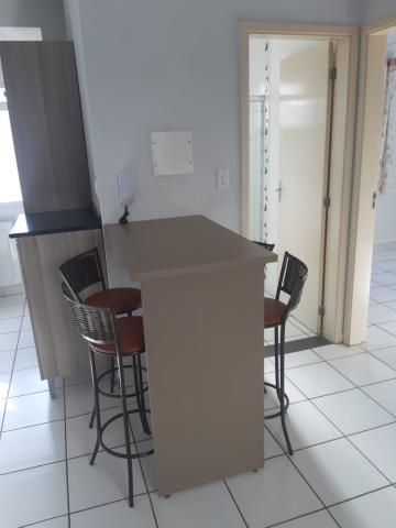 imagem 1 - APARTAMENTO PRÓXIMO À RODOVIA ANHANGUERA imagem 1 - APARTAMENTO PRÓXIMO À RODOVIA ANHANGUERA