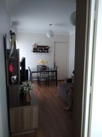 imagem 5 - Lindo apartamento com sacada no Geraldo de Carvalho imagem 5 - Lindo apartamento com sacada no Geraldo de Carvalho