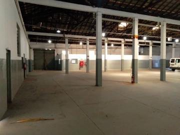 imagem 2 - Comercial padrão - Galpão - Armazém imagem 2 - Comercial padrão - Galpão - Armazém