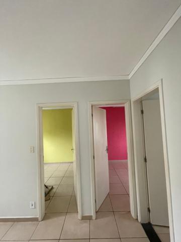 imagem 3 - APARTAMENTO PRÓXIMO A RODOVIA ANHANGUERA imagem 3 - APARTAMENTO PRÓXIMO A RODOVIA ANHANGUERA