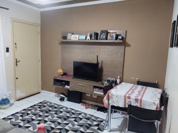 imagem 2 - APARTAMENTO PRÓXIMO Á RUA CORONEL AMÉRICO BATISTA imagem 2 - APARTAMENTO PRÓXIMO Á RUA CORONEL AMÉRICO BATISTA