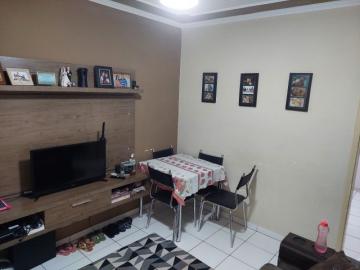 imagem 1 - APARTAMENTO PRÓXIMO Á RUA CORONEL AMÉRICO BATISTA imagem 1 - APARTAMENTO PRÓXIMO Á RUA CORONEL AMÉRICO BATISTA
