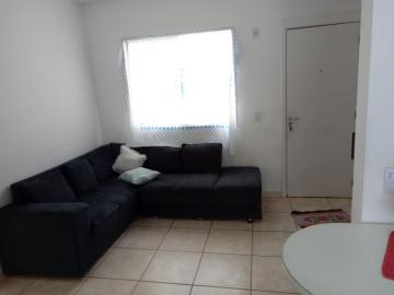 imagem 1 - APARTAMENTO PRÓXIMO AO MIALICH imagem 1 - APARTAMENTO PRÓXIMO AO MIALICH