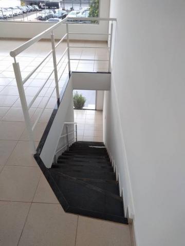 imagem 3 - Loja comercial de 334m² com 03 banheiros para locação - Jardim Califórnia imagem 3 - Loja comercial de 334m² com 03 banheiros para locação - Jardim Califórnia