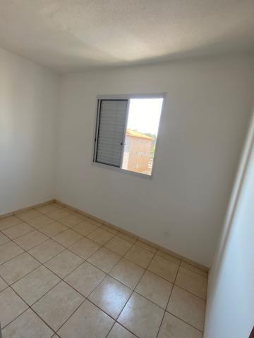 imagem 5 - **APARTAMENTO COM SACADA E ARMÁRIOS** imagem 5 - **APARTAMENTO COM SACADA E ARMÁRIOS**