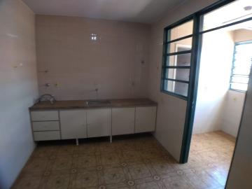 imagem 4 - Apartamento de 02 quartos para locação - Jardim Macedo imagem 4 - Apartamento de 02 quartos para locação - Jardim Macedo