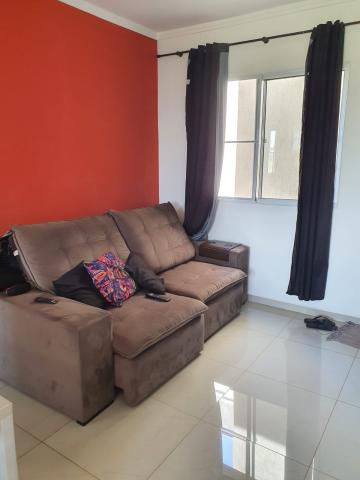 imagem 1 - EXCELENTE APARTAMENTO NO VITTA VIA NORTE imagem 1 - EXCELENTE APARTAMENTO NO VITTA VIA NORTE