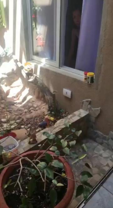 imagem 4 - CASA TÉRREA PRÓXIMO À RUA PARANAPANEMA imagem 4 - CASA TÉRREA PRÓXIMO À RUA PARANAPANEMA