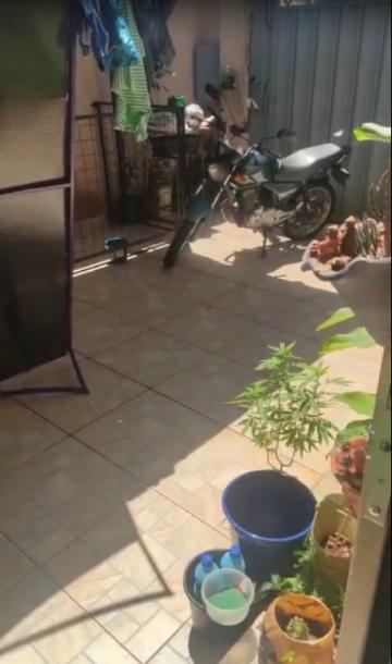 imagem 2 - CASA TÉRREA PRÓXIMO À RUA PARANAPANEMA imagem 2 - CASA TÉRREA PRÓXIMO À RUA PARANAPANEMA