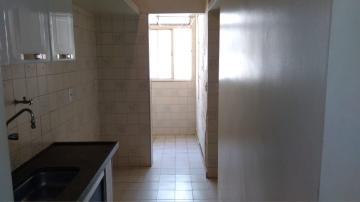 Alugar Apartamentos / Studio/Kitnet em Ribeirão Preto R$ 500,00 - Foto 4