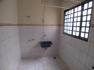imagem 5 - Apartamento de 02 quartos para locação - Jardim Irajá imagem 5 - Apartamento de 02 quartos para locação - Jardim Irajá