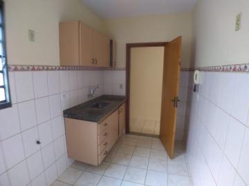 imagem 4 - Apartamento de 02 quartos para locação - Jardim Irajá imagem 4 - Apartamento de 02 quartos para locação - Jardim Irajá
