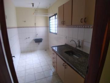 imagem 3 - Apartamento de 02 quartos para locação - Jardim Irajá imagem 3 - Apartamento de 02 quartos para locação - Jardim Irajá