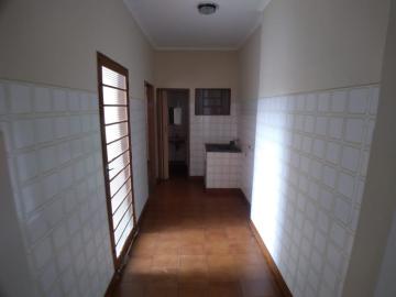 Alugar Casas / Padrão em Ribeirão Preto R$ 1.000,00 - Foto 13