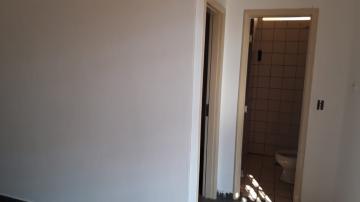 imagem 5 - Sobrado 450 m² com 4 quartos - Jardim Sumaré imagem 5 - Sobrado 450 m² com 4 quartos - Jardim Sumaré