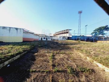 imagem 1 - Comercial padrão - Loja imagem 1 - Comercial padrão - Loja
