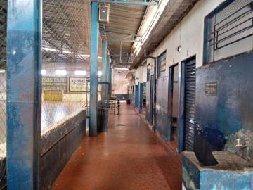 imagem 4 - Imóvel comercial de 900m² com quadra esportiva para locação - Ipiranga imagem 4 - Imóvel comercial de 900m² com quadra esportiva para locação - Ipiranga