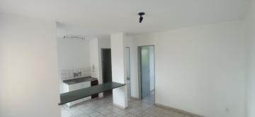 imagem 4 - APARTAMENTO PARA LOCAÇÃO NO JARDIM PRESIDENTE DUTRA imagem 4 - APARTAMENTO PARA LOCAÇÃO NO JARDIM PRESIDENTE DUTRA