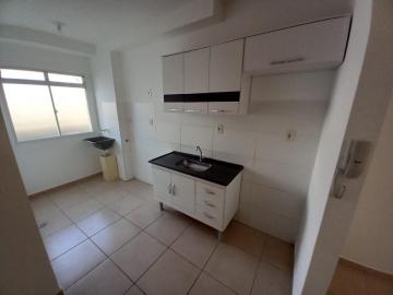 imagem 3 - Apartamento de 44m² com 02 quartos à venda - Vila Virgínia imagem 3 - Apartamento de 44m² com 02 quartos à venda - Vila Virgínia