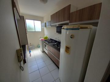 imagem 4 - APARTAMENTO PRÓXIMO À AVENIDA ANTÔNIO E HELENA ZERRENER imagem 4 - APARTAMENTO PRÓXIMO À AVENIDA ANTÔNIO E HELENA ZERRENER