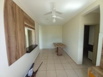 imagem 1 - APARTAMENTO PRÓXIMO À AVENIDA ANTÔNIO E HELENA ZERRENER imagem 1 - APARTAMENTO PRÓXIMO À AVENIDA ANTÔNIO E HELENA ZERRENER