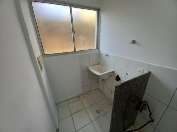 imagem 5 - Apartamento de 55m² com 02 quartos para locação - Jardim Palma Travassos imagem 5 - Apartamento de 55m² com 02 quartos para locação - Jardim Palma Travassos