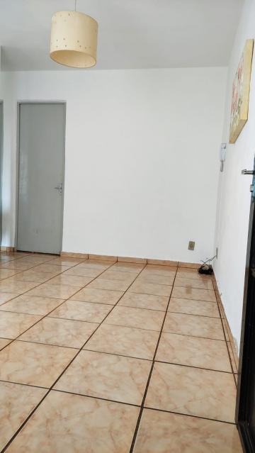 imagem 2 - APARTAMENTO NO JOÃO ROSSI imagem 2 - APARTAMENTO NO JOÃO ROSSI