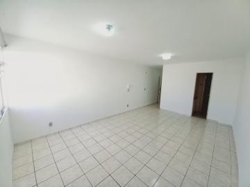 imagem 3 - KIT NO CENTRO imagem 3 - KIT NO CENTRO